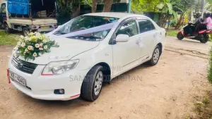 Toyota Axio 2011 Car (Used)