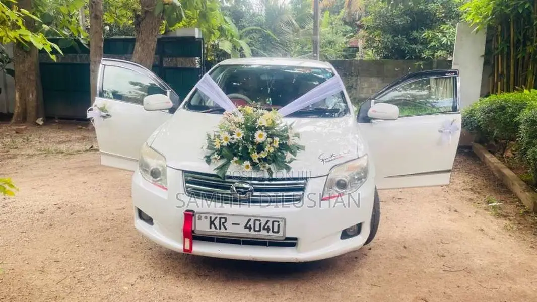 Toyota Axio 2011 Car (Used)