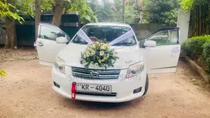 Toyota Axio 2011 Car (Used)