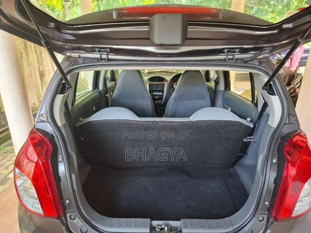 Suzuki Alto 2015 Car (Used)