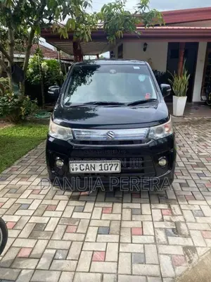 Suzuki Wagon R 2014 Car (Used)