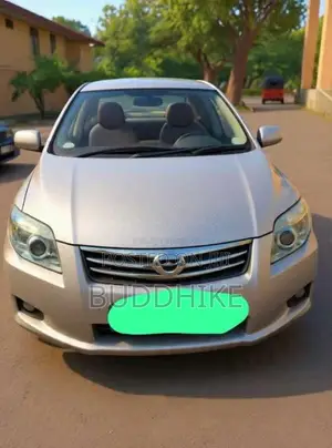 Toyota Axio 2011 Car (Used)