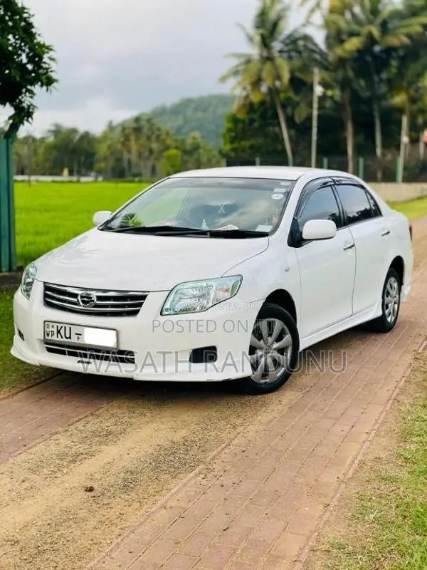 Toyota Axio 2010 Car (Used)