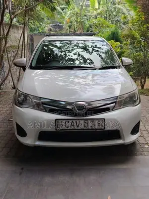 Toyota Axio 2014 Car (Used)