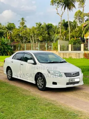 Toyota Axio 2010 Car (Used)