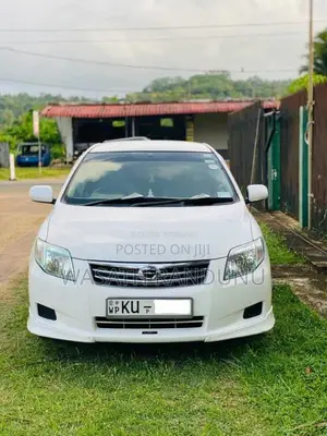 Toyota Axio 2010 Car (Used)