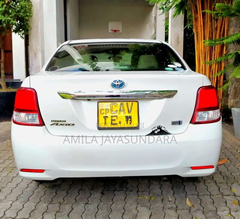 Toyota Axio 2014 Car (Used)