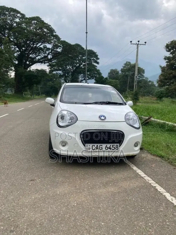 Micro Panda 2015 Car (Used)