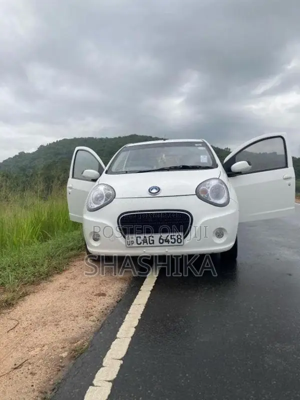 Micro Panda 2015 Car (Used)
