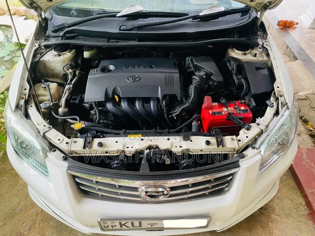 Toyota Axio 2010 Car (Used)
