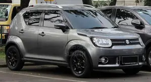 Suzuki Ignis 2018 Car (Used)
