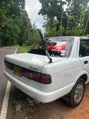 Nissan FB13 Doctor Sunny 1991 Car (Used)