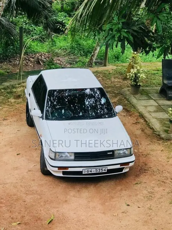 Nissan Bluebird 1989 Car (Used)