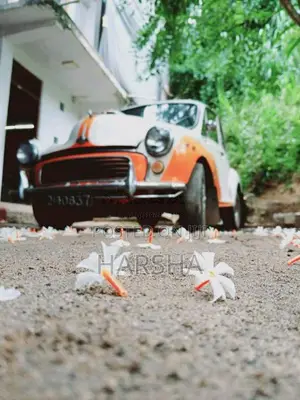 Morris Minor 1980 Car (Used)
