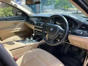 BMW 520D 2016 Car (Used)