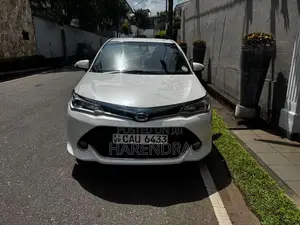 Toyota Axio 2017 Car (Used)
