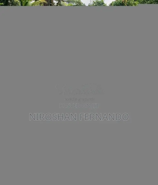 Nissan FB15 1999 Car (Used)