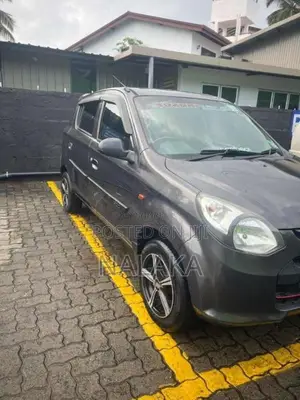 Suzuki Alto 2015 Car (Used)