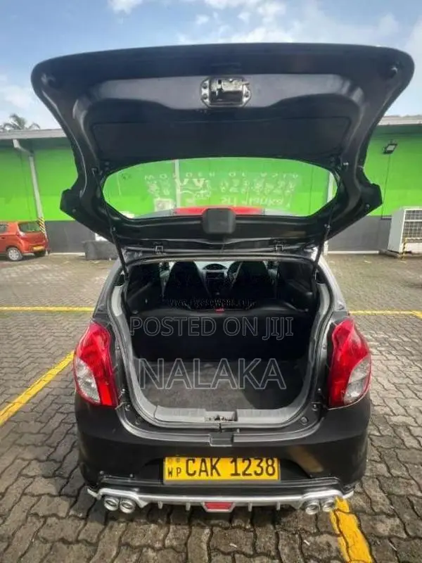 Suzuki Alto 2015 Car (Used)
