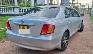 Toyota Axio 2007 Car (Used)
