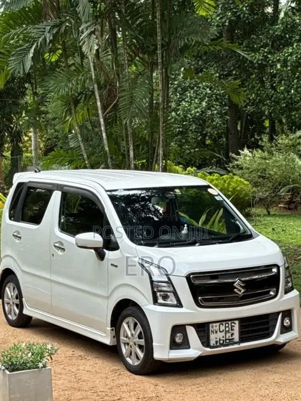 Suzuki Wagon R 2018 Car (Used)