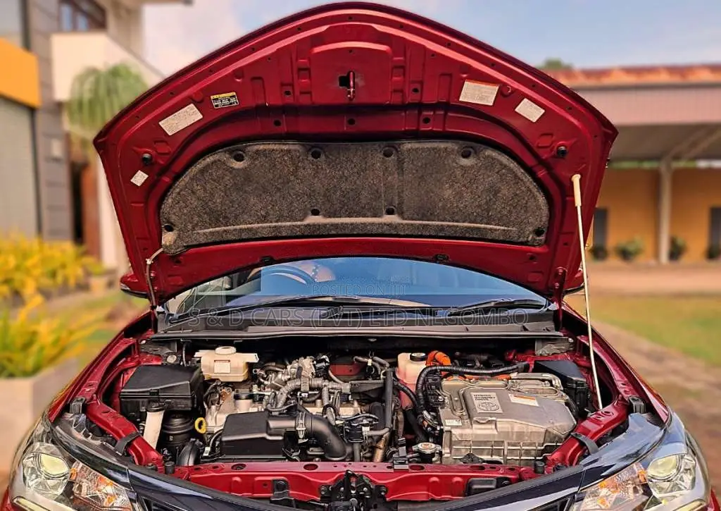 Toyota Axio WXB 2019 Car (Used)