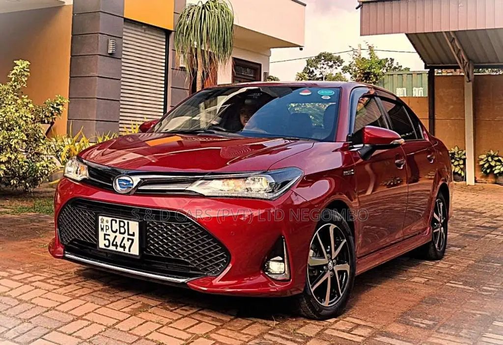 Toyota Axio WXB 2019 Car (Used)