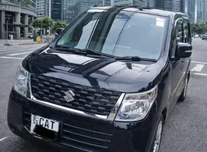 Suzuki Wagon R FX 2014 Car (Used)