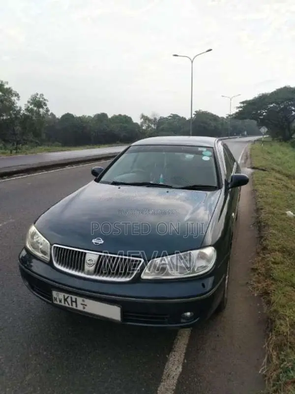 Nissan Bluebird Sylphy FG10 2004 Car (Used)