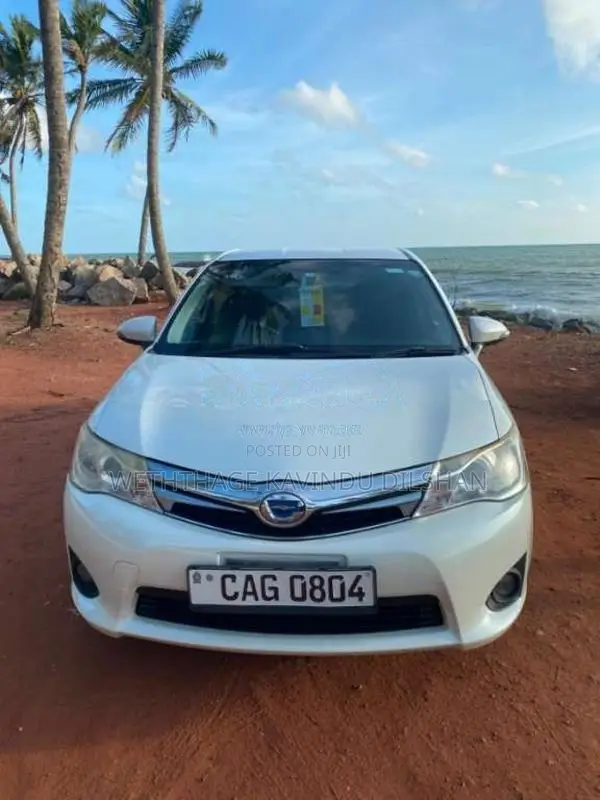 Toyota Axio 2015 Car (Used)