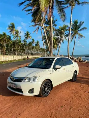 Toyota Axio 2015 Car (Used)