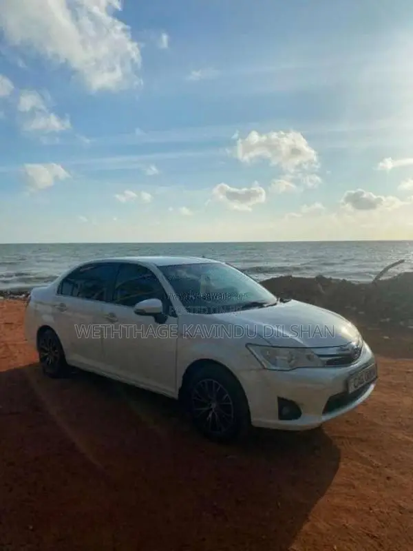 Toyota Axio 2015 Car (Used)