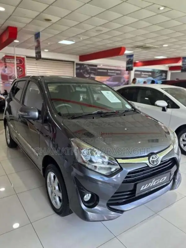 Toyota Wigo 2019 Car (Used)