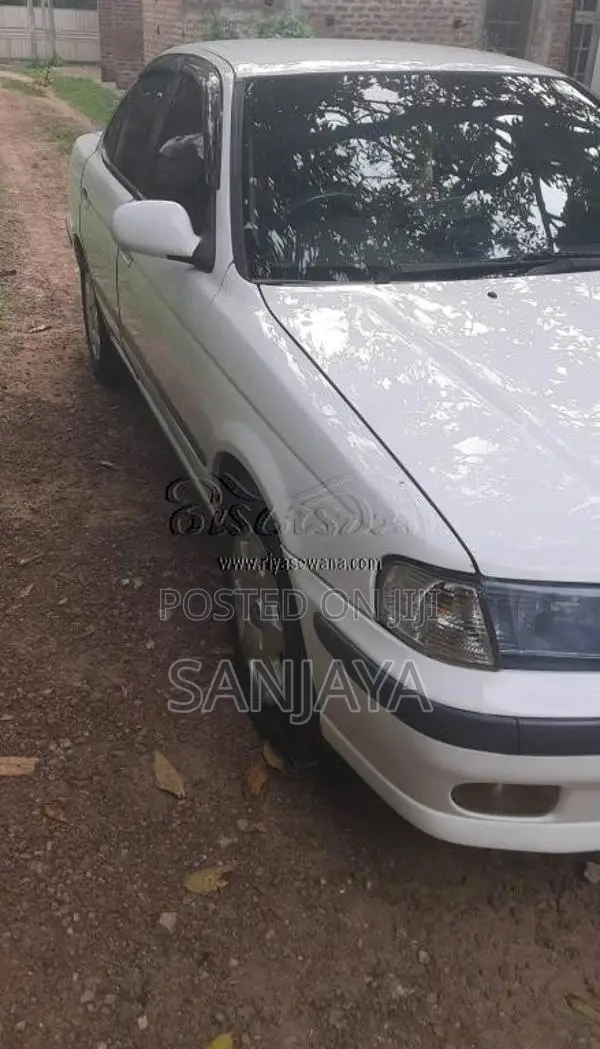 Nissan B15 1999 Car (Used)