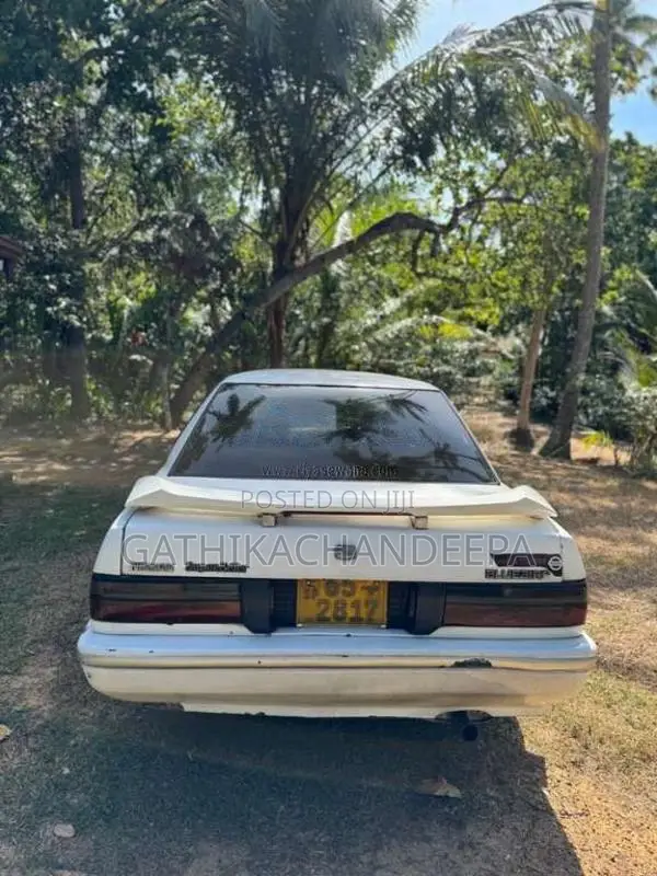 Nissan Bluebird 1989 Car (Used)
