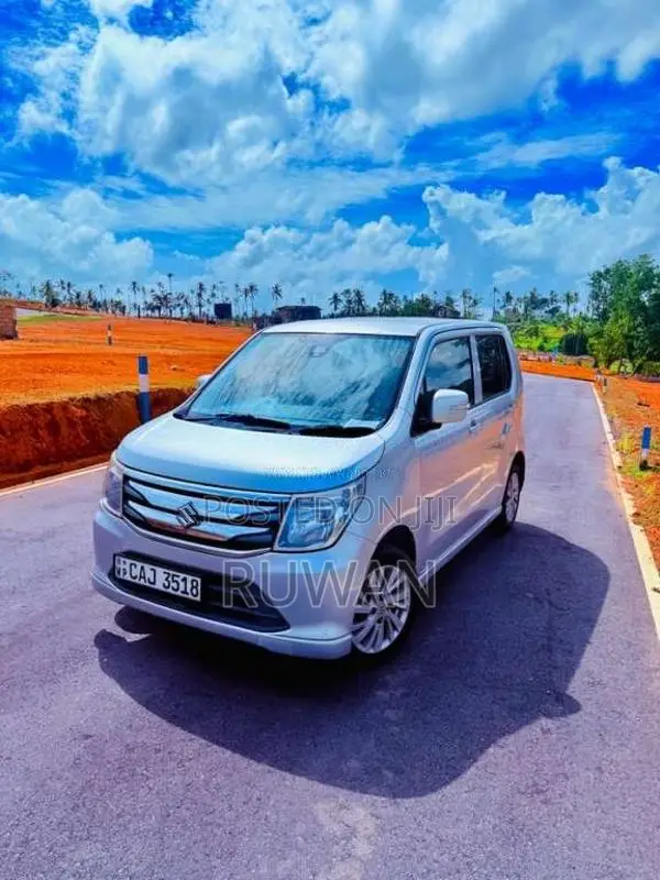Suzuki Wagon R 2014 Car (Used)
