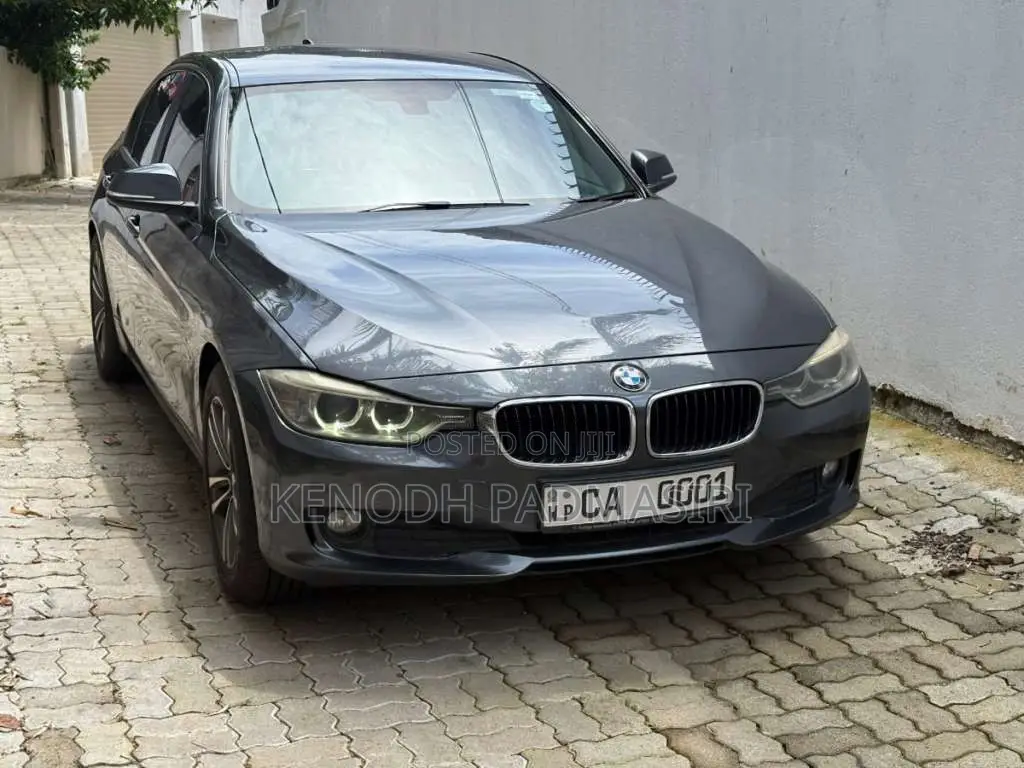 BMW 316i 2015 Car (Used)