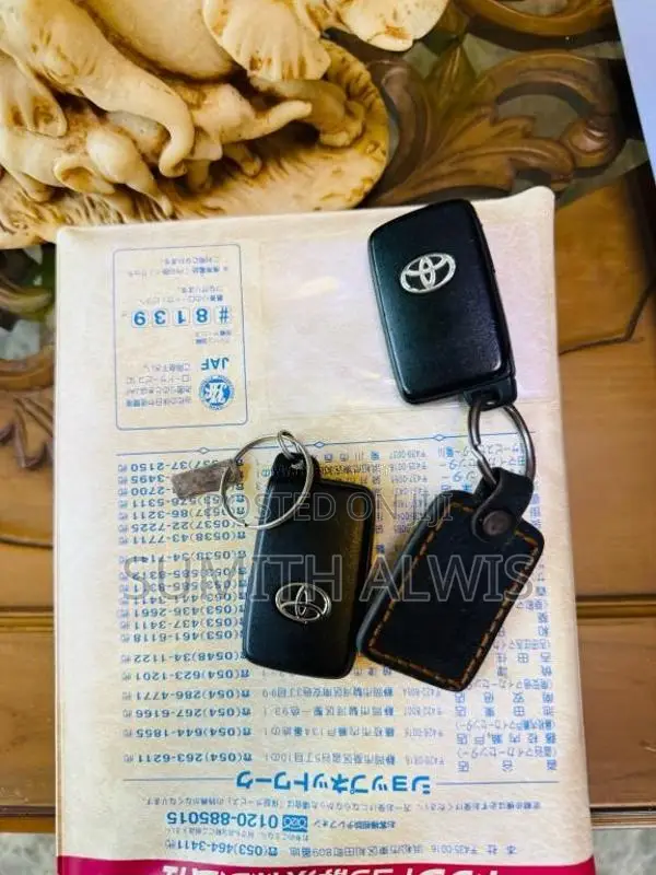 Toyota Vitz 2019 Car (Used)