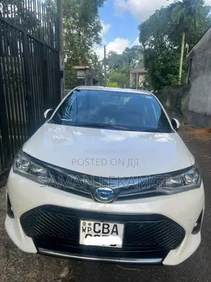 Toyota Axio WXB 2018 Car (Used)