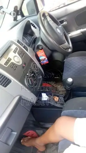 Suzuki Wagon R 2010 Car (Used)