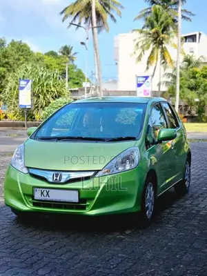 Honda Fit Gp1 10th Anniversary 2012 Car (Used)