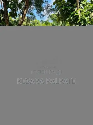 Nissan FB14 1997 Car (Used)