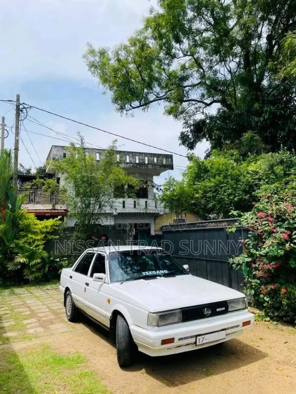 Nissan Trad Sunny HB12 1987 Car (Used)
