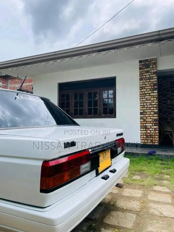 Nissan Trad Sunny HB12 1987 Car (Used)