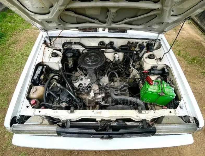 Nissan Trad Sunny HB12 1987 Car (Used)