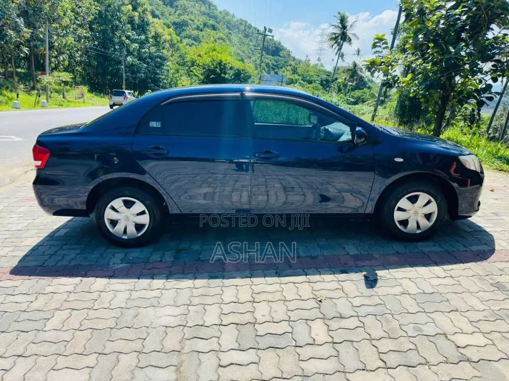 Toyota Axio 2010 Car (Used)
