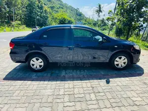 Toyota Axio 2010 Car (Used)