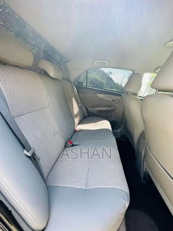 Toyota Axio 2010 Car (Used)