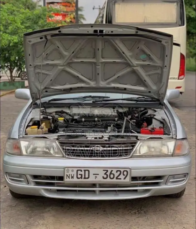 Nissan Sunny FB14 2001 Car (Used)