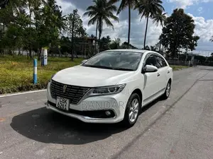 Toyota Premio 2020 Car (Used)
